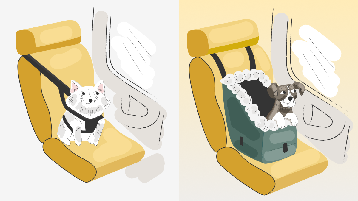 Graphic of a dog in a harness in the car and another in a hanging seat