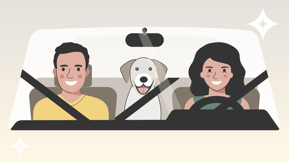 Graphic of a couple driving with a dog in the backseat